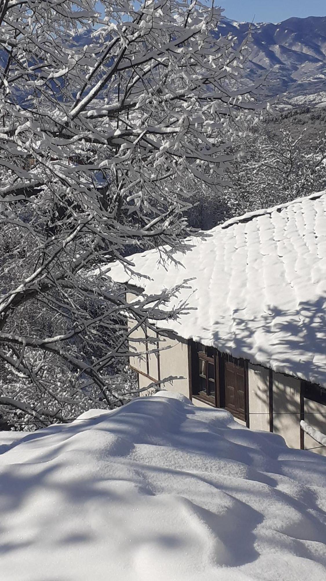 Къща За Гости Близнаците Leshten Exterior photo